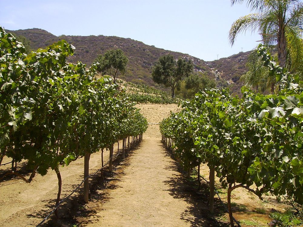 Vineyard Hacienda Spring Valley (San Diego) Exterior foto